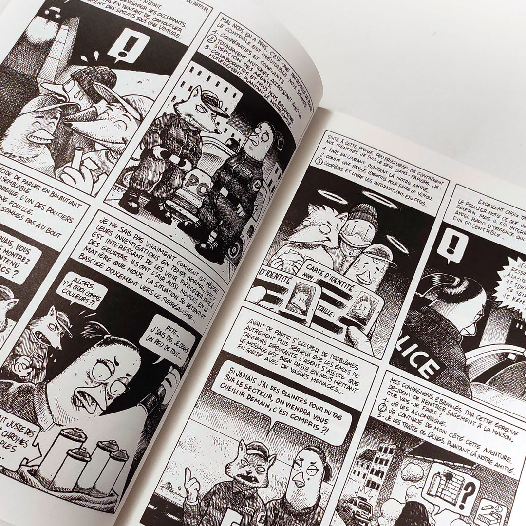 Cool Parano – Un Testament Graffiti - Benoit Carbonnel
