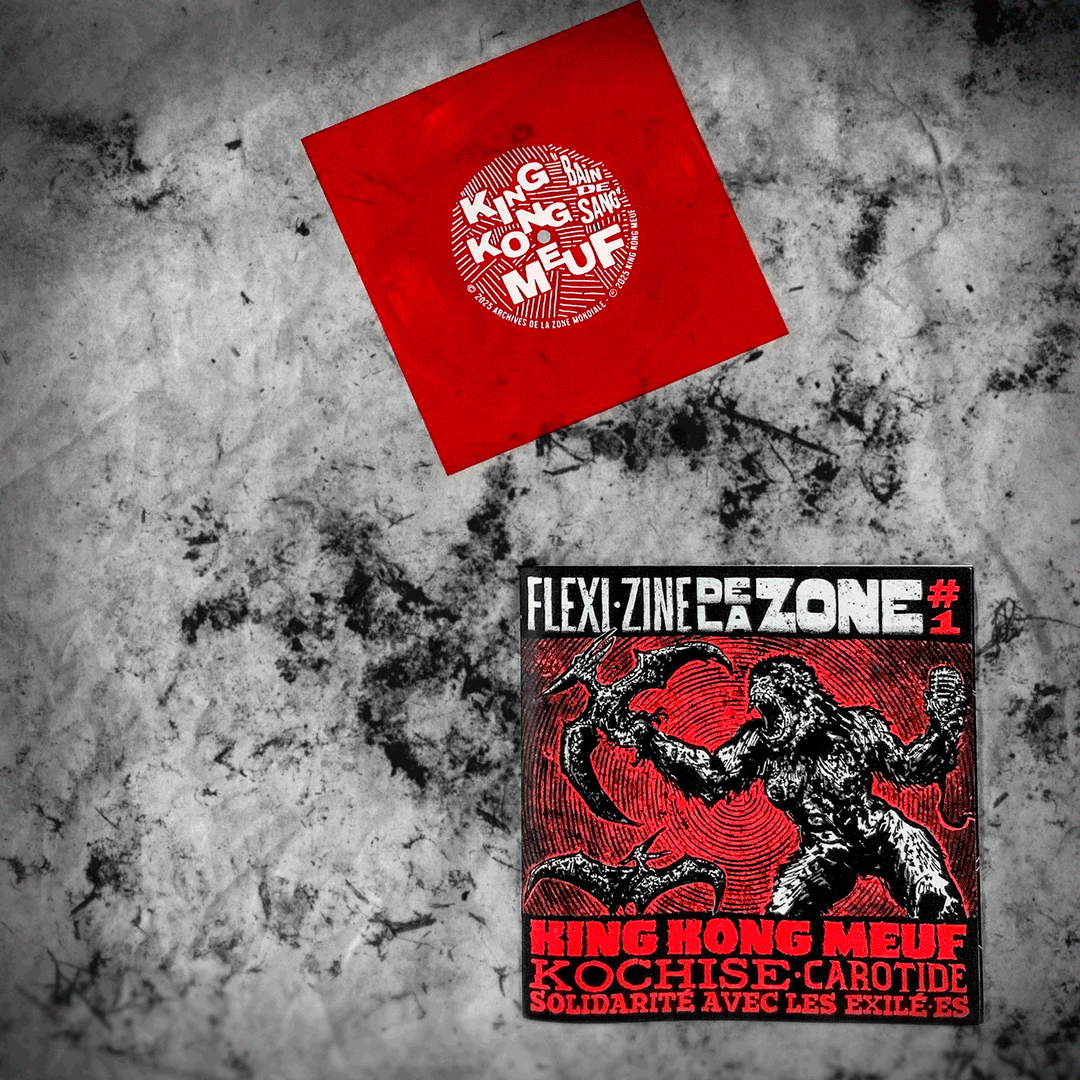 Flexi·Zine de la Zone #1