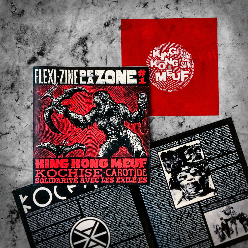 Flexi·Zine de la Zone #1