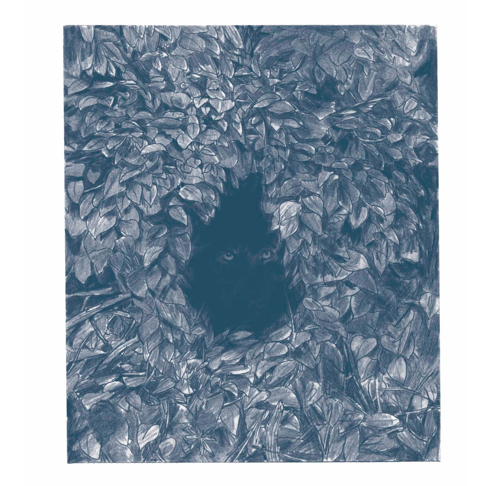 Wolven - Enzo Smits & Ward Zwart