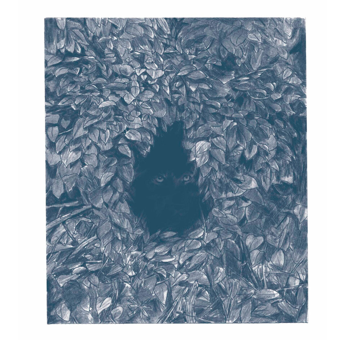 Wolven - Enzo Smits & Ward Zwart