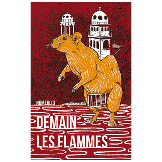 Demain Les Flammes n°3