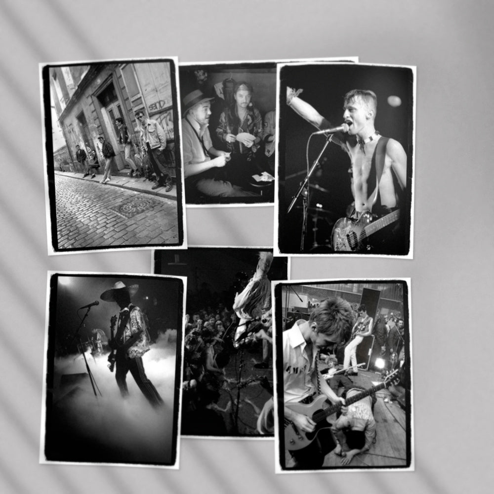 Indociles - François Poulain