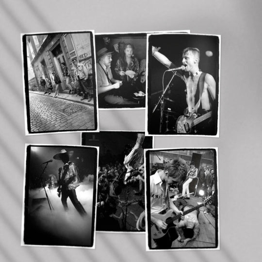 Indociles - François Poulain