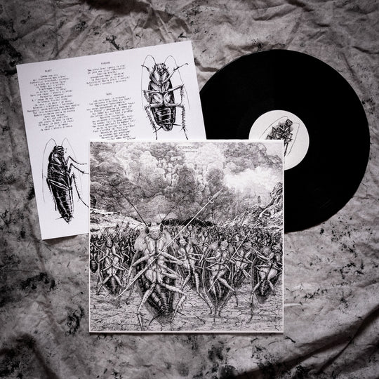 Missratched - Synanthropie